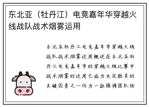 东北亚（牡丹江）电竞嘉年华穿越火线战队战术烟雾运用